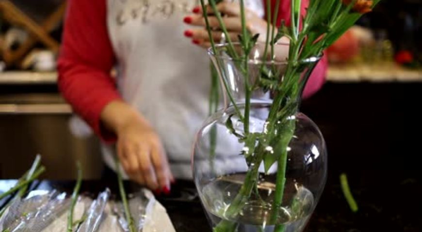 Tipps und Tricks um Schnittblumen lange frisch zu halten